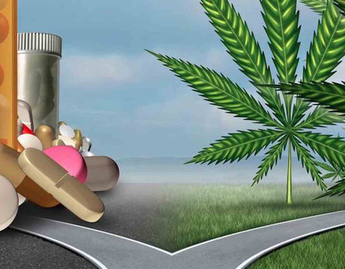 Read more about the article Painkiller addiction reduced with Cannabis