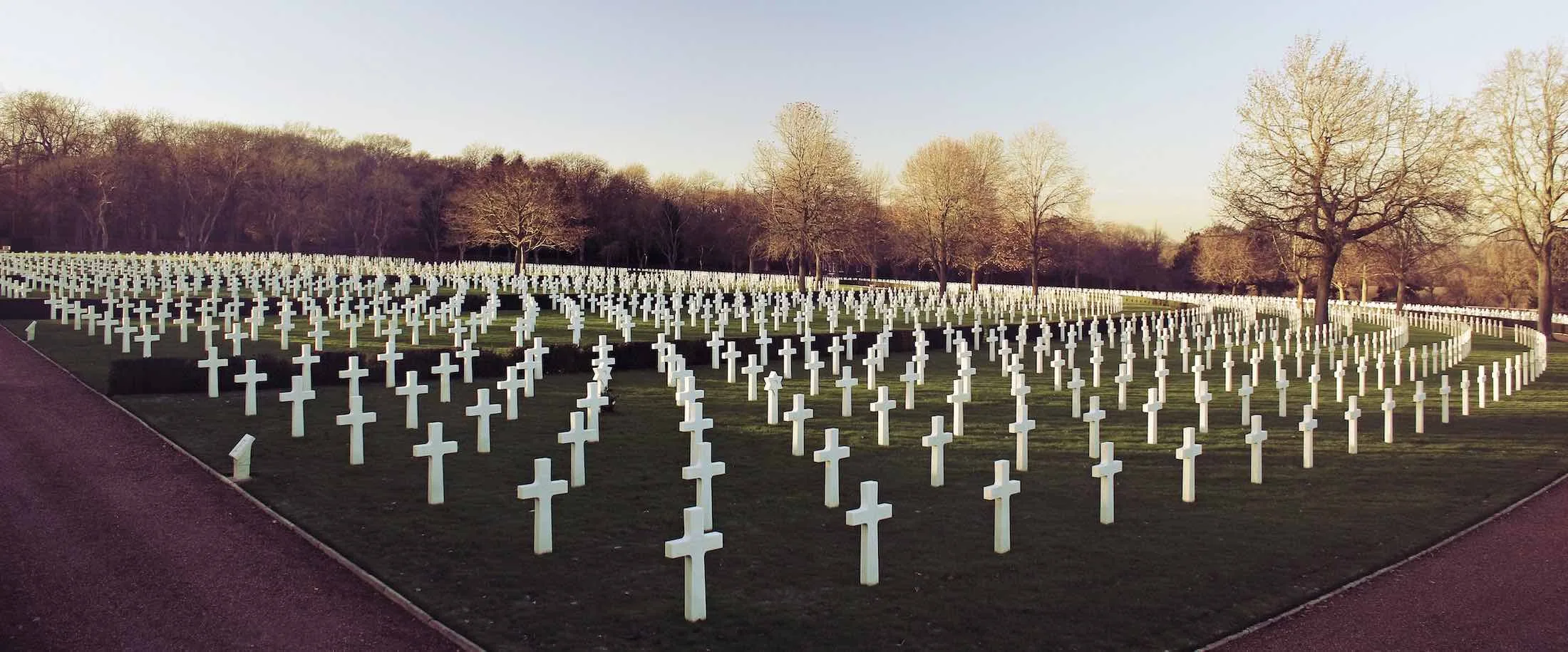 The Insanity of the War on Drugs: Part II