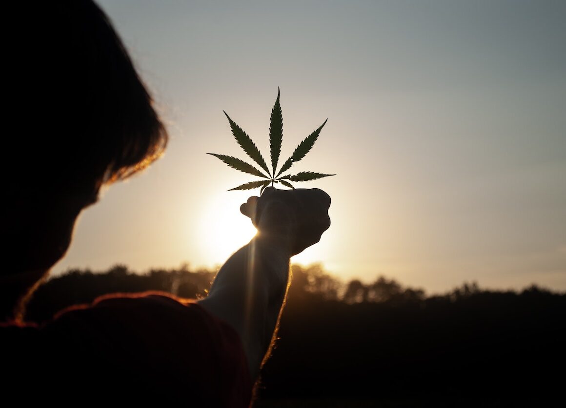 Read more about the article Healing with Cannabis