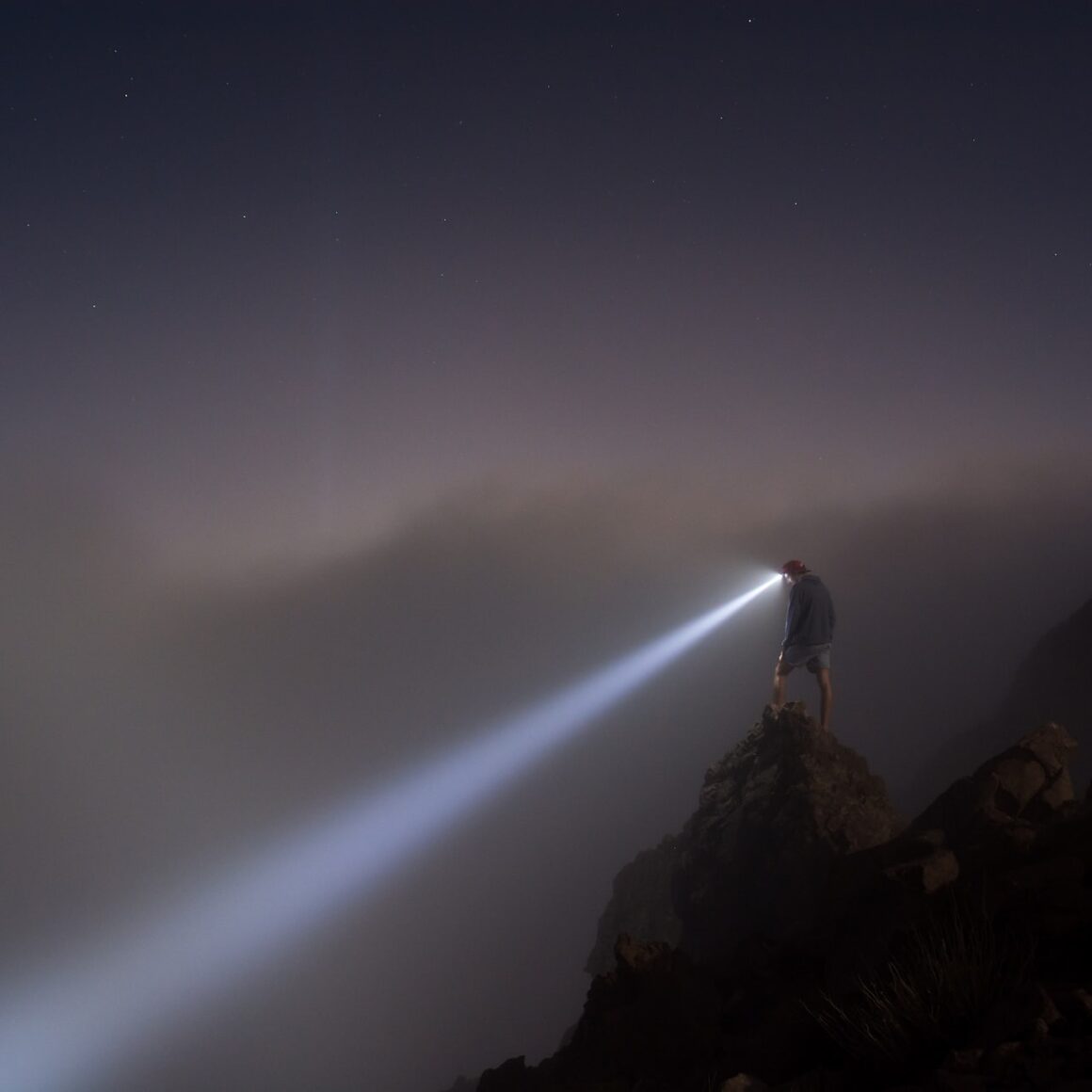 Read more about the article Testimonial – 5-MeO-DMT flashlight to take into the shadows