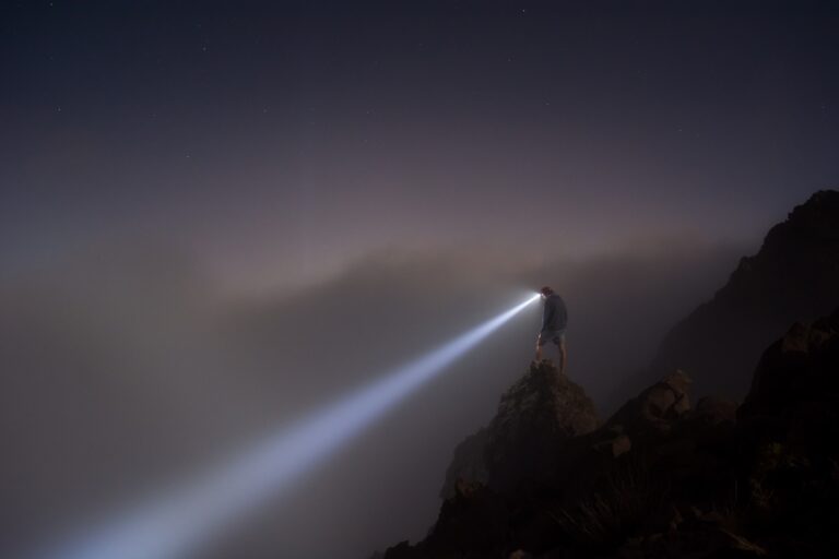 Read more about the article Testimonial – 5-MeO-DMT flashlight to take into the shadows