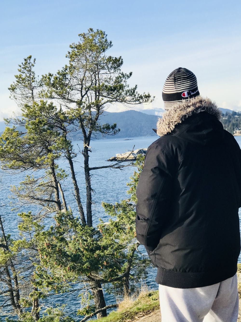 You are currently viewing The importance of Ibogaine in the treatment of addiction and PTSD