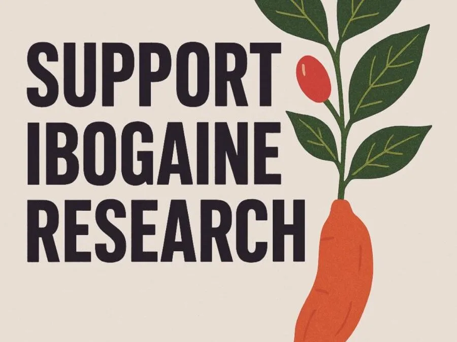 The Texas Ibogaine Initiative: A Crucial Step Forward for Ibogaine Treatment