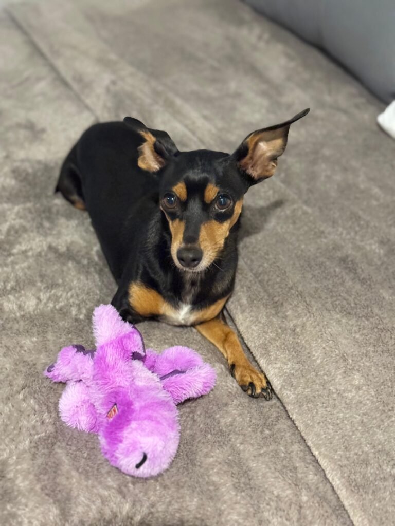 millie