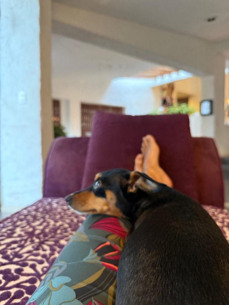 inner realms center img (10)