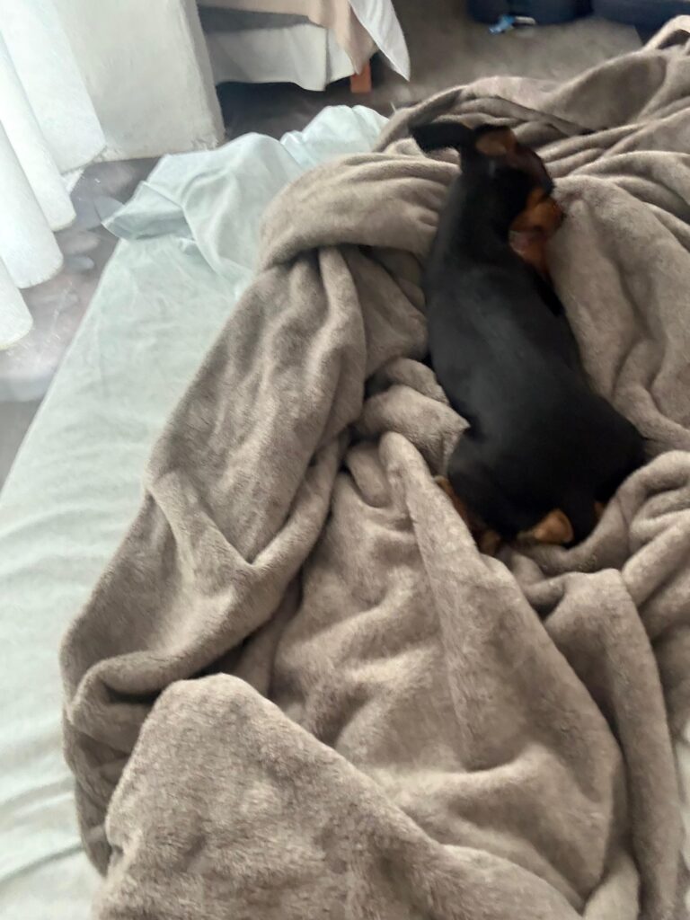 inner realms center img (13)