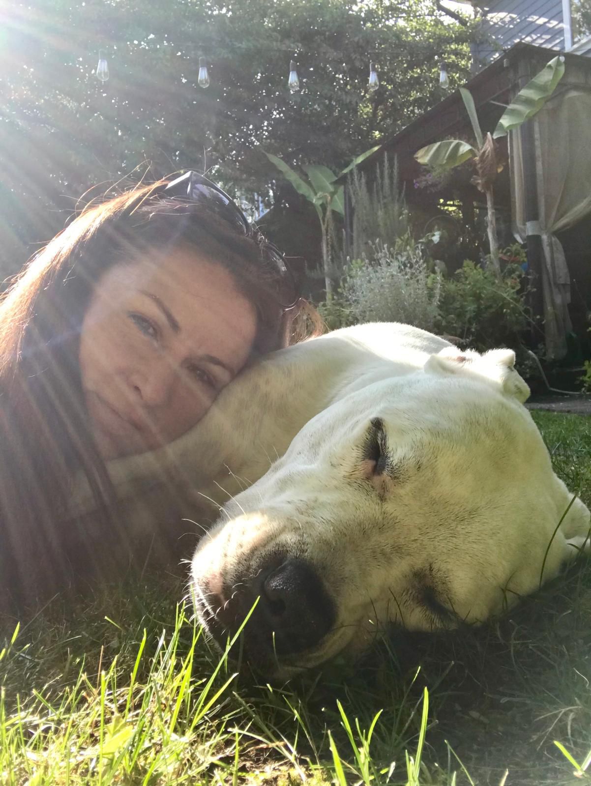 Vader – Chief Therapy Dog, In Memoriam inner realms center img (6)