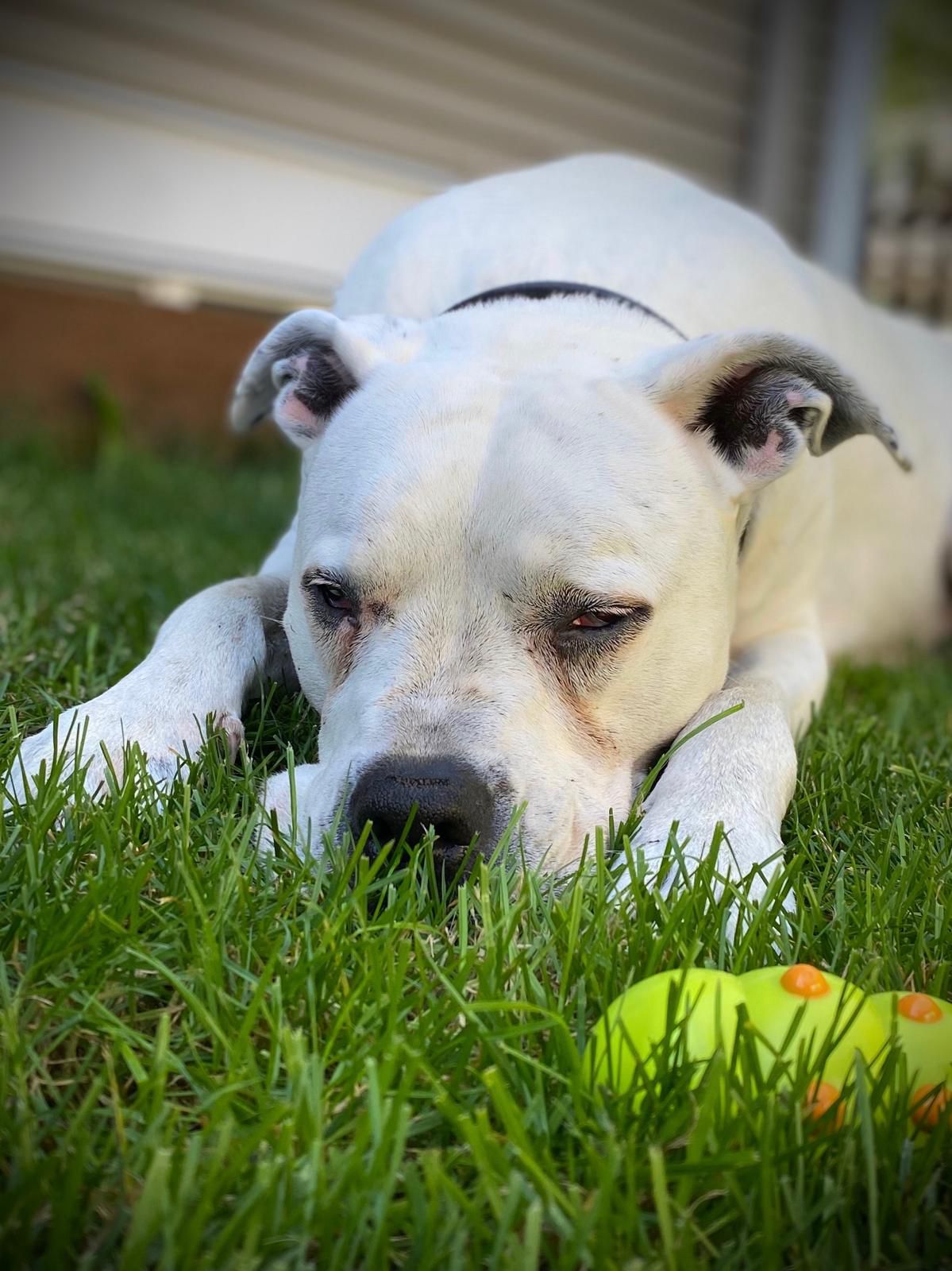 About us inner realms center img (8)