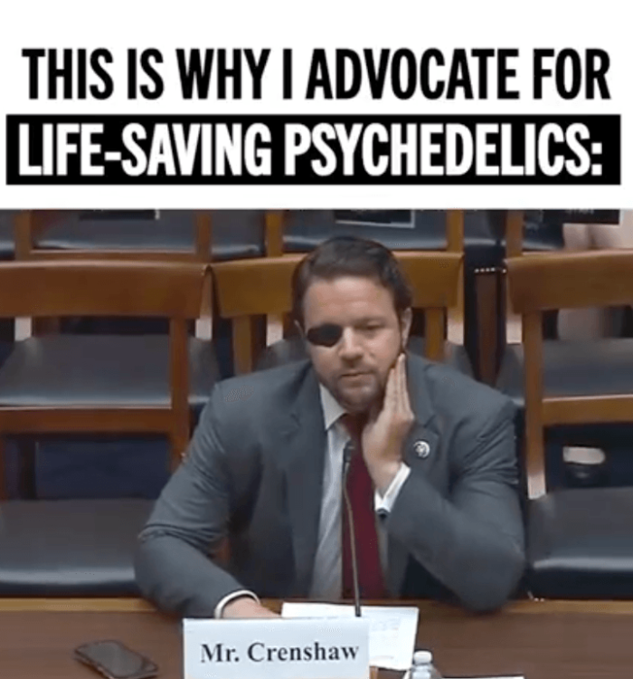 Ibogaine PSTD treatment works image