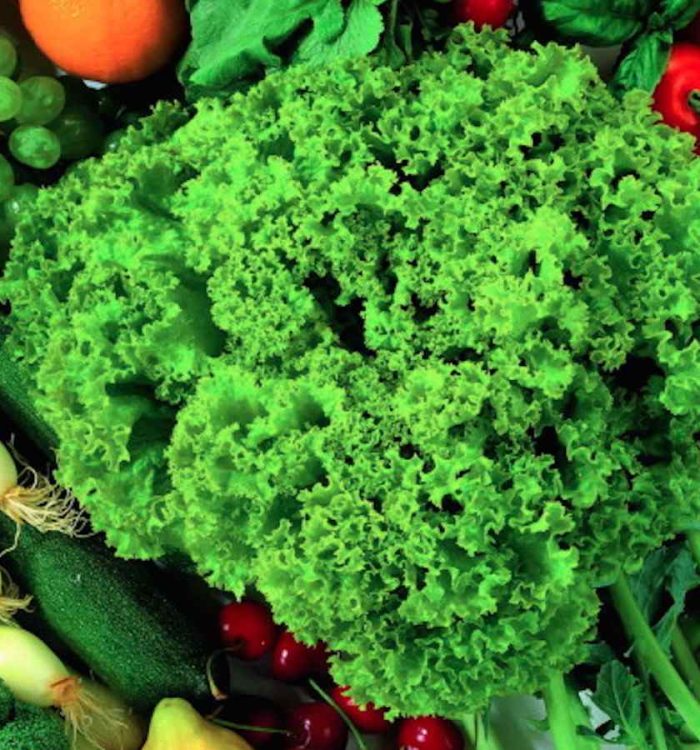 addiction, detox, nutrition, foods, healthy choices, treatment, Vancouver, BC Canada