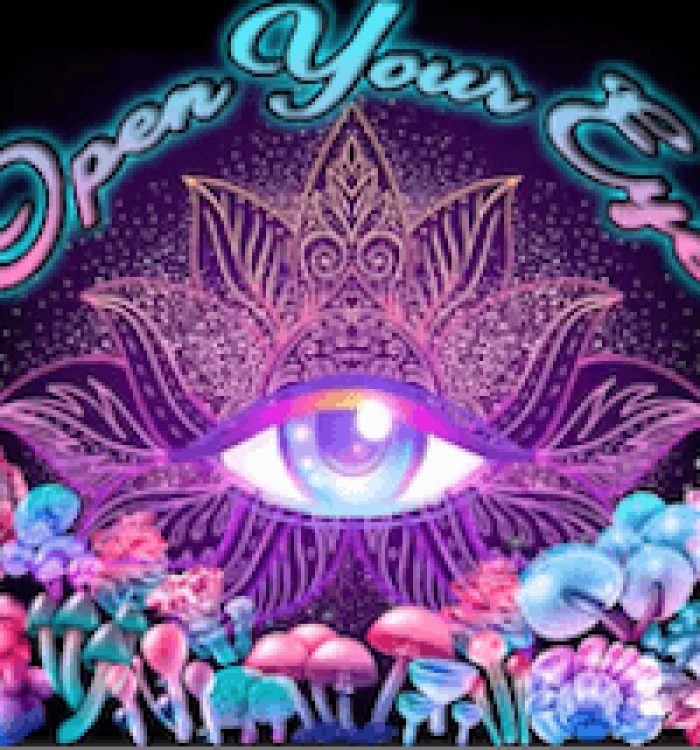 Ibogaine interview image