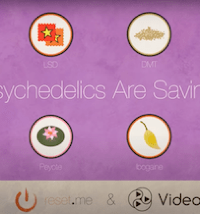 psychedelics saving lives